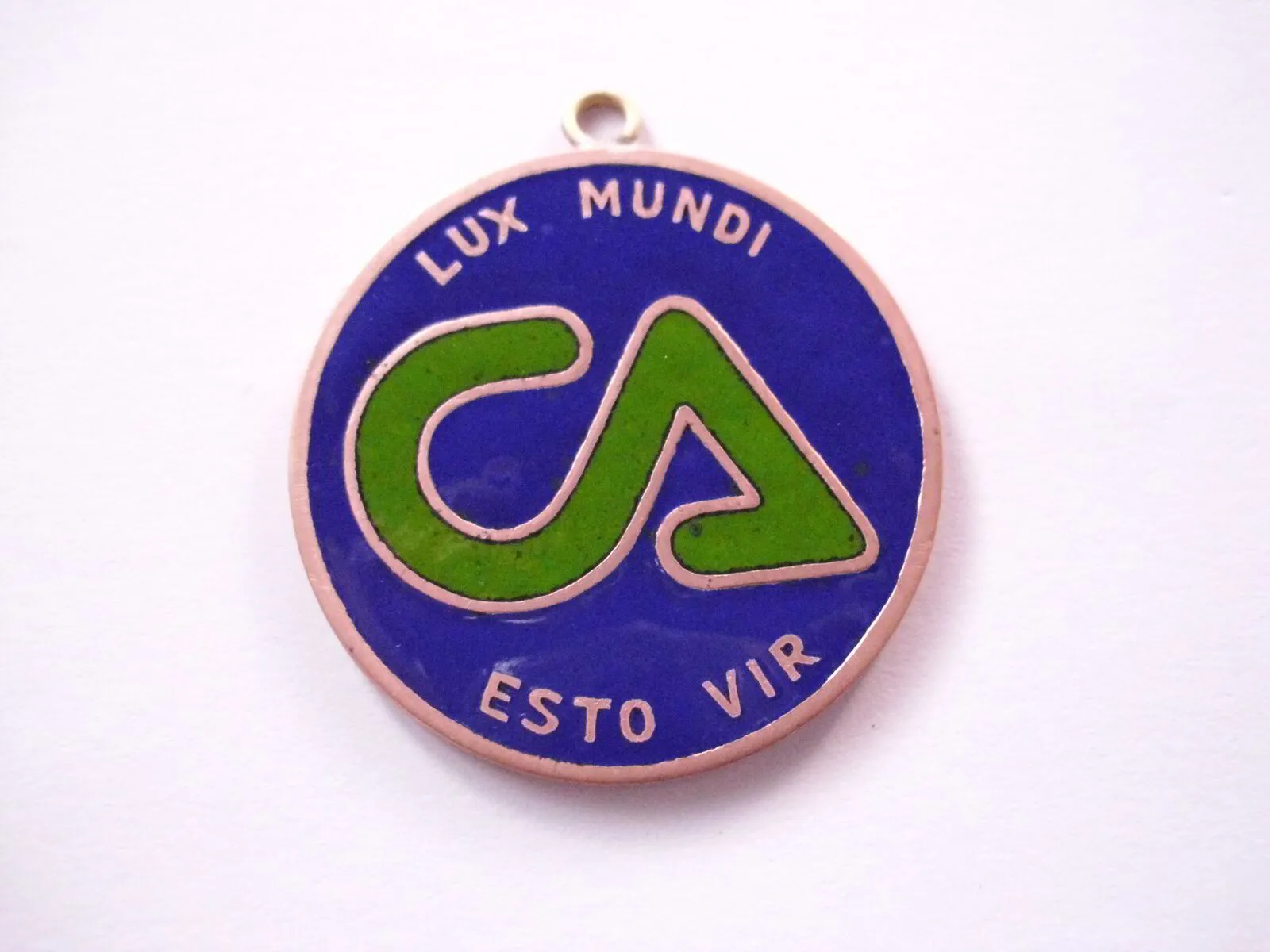 Colegio Apoquindo 1