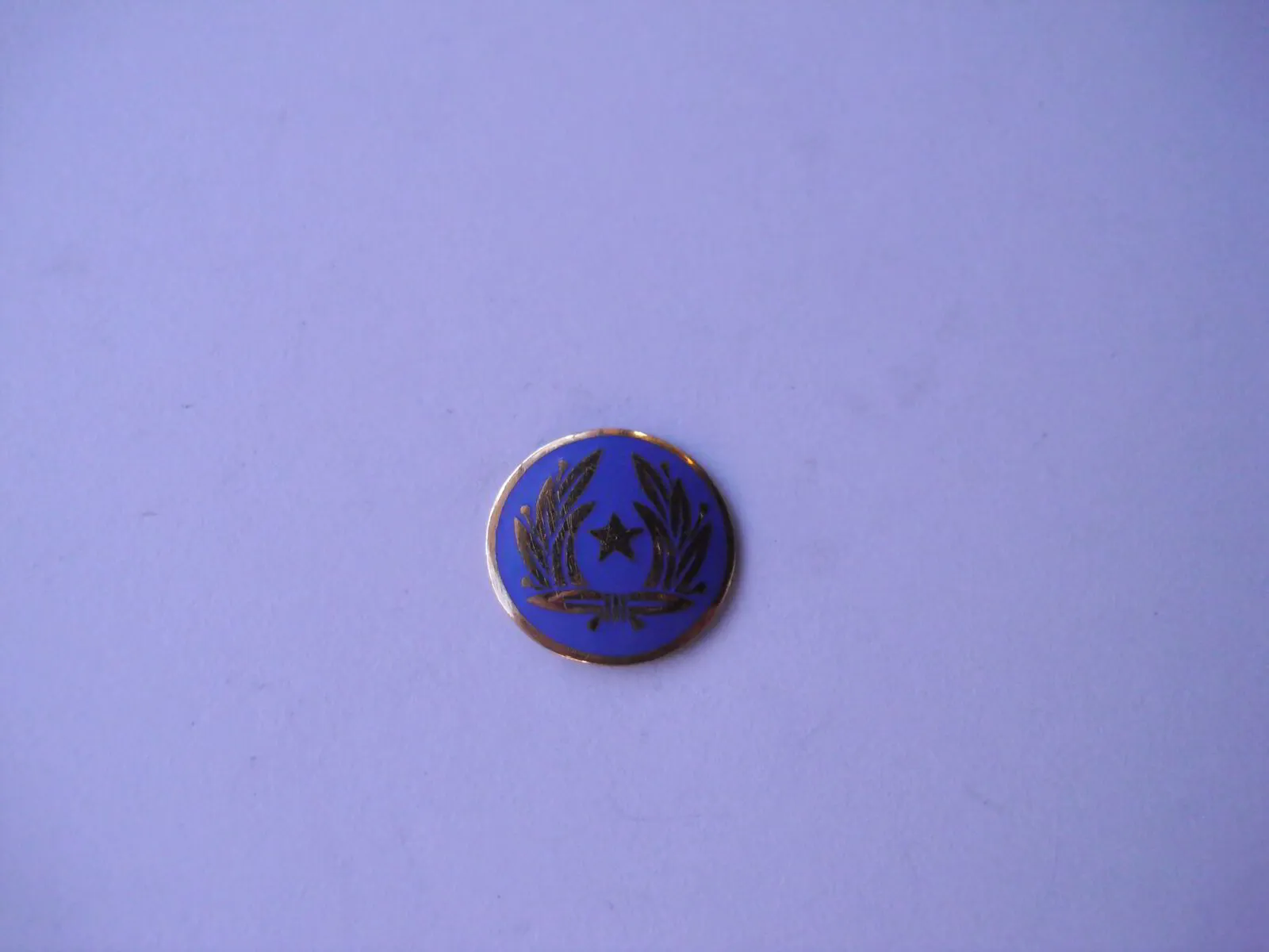 DSCI0502