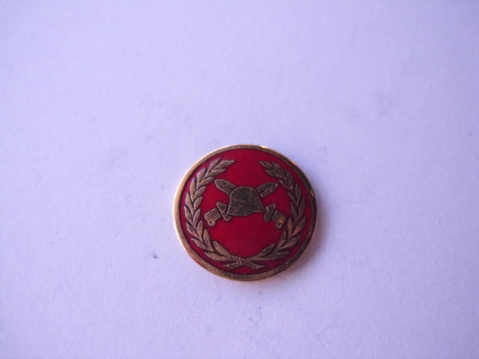 DSCI0504